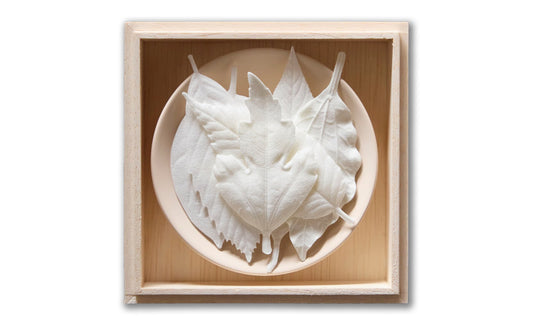 HA KO - 6 Paper Incense Leaves Gift Box