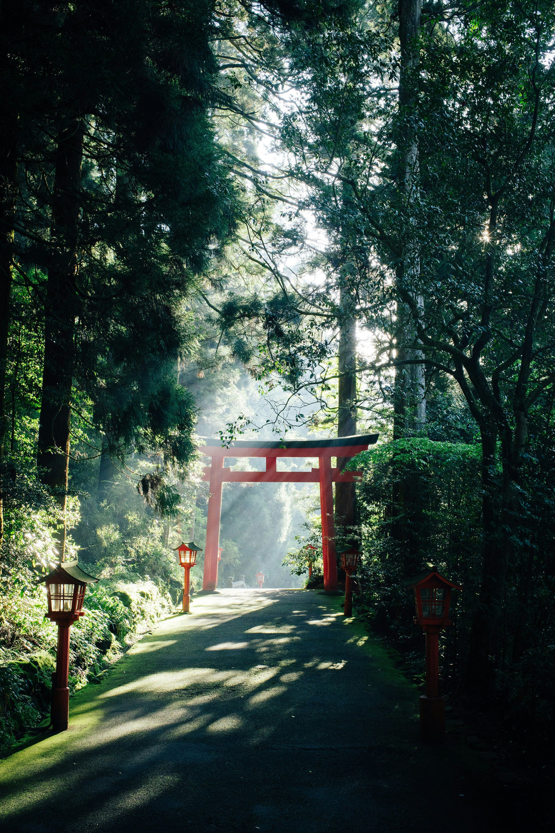 Japan in May and June – Fresh Greenery, Quiet Rituals and the Beginning of Summer
