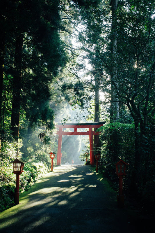 Japan in May and June – Fresh Greenery, Quiet Rituals and the Beginning of Summer